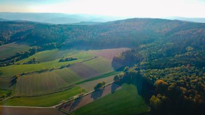 Foto: Katzenstirn, Ingo Kühl/Naturschutzinitiative (NI)