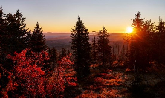 Leuchtend bunt präsentiert sich die Ferienregion Nationalpark Bayerischer Wald im Herbst seinen.jpg