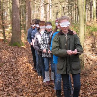 Zertifizierte Waldpädagoginnen und Waldpädagogen treffen sich im Harz