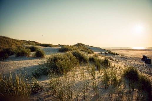 Strand auf Juist (1).jpg