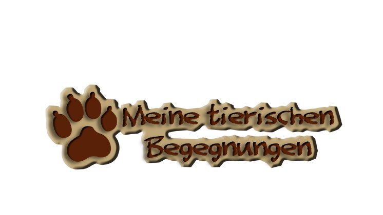 tierische begegnungen_logo.png