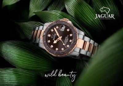 Jaguar 2019 2020 5
